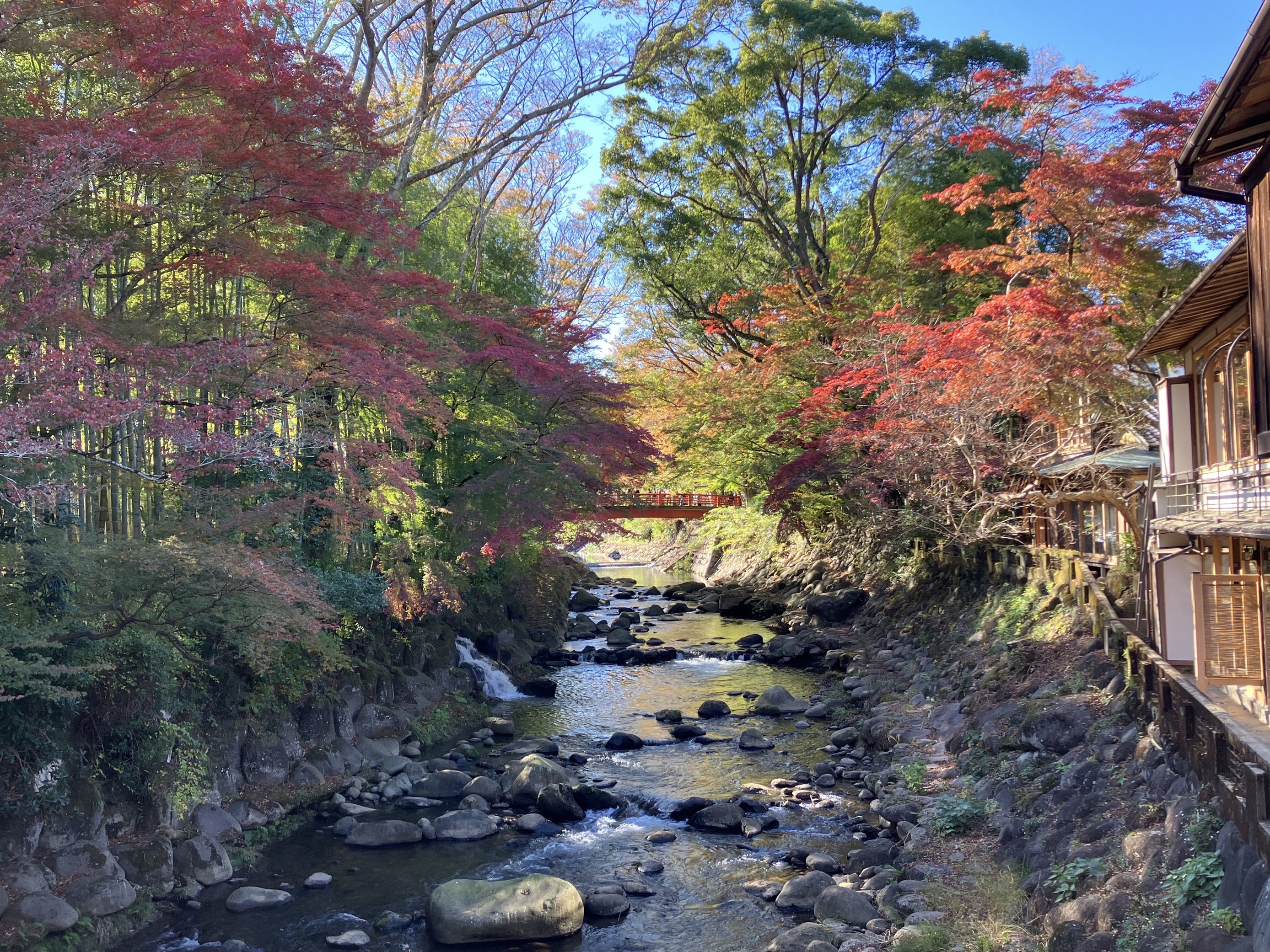 静岡県】三島発 修善寺行 絶景とパワースポットと歴史建築物巡り